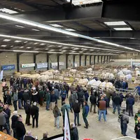 vue d'ensemble dans le hall de l'agriculture de Boussac pendant la foire concours de mars 2025