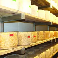 Des meules de fromage alignées