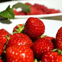 Fraises des Monts du Velay