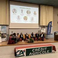 Table ronde du Colloque. De gauche à droite : Frédéric FAURE, Nathanaël JACQUART, Claire ROCK, Jean Philippe QUERARD, Sébastien COURTOIS, Jean-Pierre