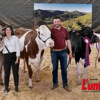 trois éleveurs et leurs trois vaches respectivement de races brune, montbéliarde et prim'holstein.