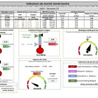 Les indicateurs de marché de viande bovine