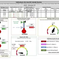 Indicateurs de marché de viande bovine