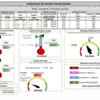 Les indicateurs de marché viande bovine de la semaine 17