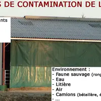 Facteurs de contanmination