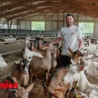Représentant de la section caprine du Cantal au milieu de ses chèvres.