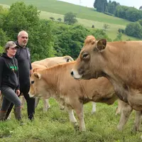 Une jeune femme et un homme marchant au milieu d'un troupeau de vaches aubrac.