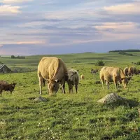 L'Aubrac et ses paysages