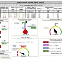 Les indicateurs de marché de viande bovine