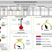 Les indicateurs de marché de viande bovine