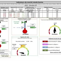 Les indicateurs de marché de viande bovine