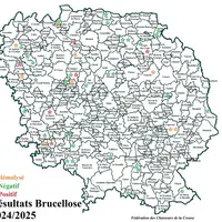 La brucellose porcine est endémique dans la population de sangliers creusois. Cela constitue une menace pour les élevages de suidés plein air, comme l