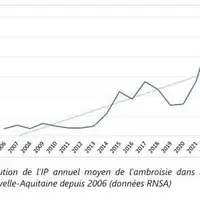 graphique montant l'augmentation de l'index pollinique annuel moyen de l'ambroisie dans l'air en Nouvelle-Aquitaine depuis 2006 (données RNSA).