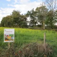 Interculture favorable à la faune sauvage