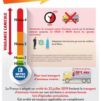 affiche rappelant la réglementation pour le transport des animaux vivants en période de canicule