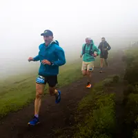 Coureurs trailers en descente sur un chemin dans le brouillard.