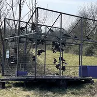 Une cage à corbeaux