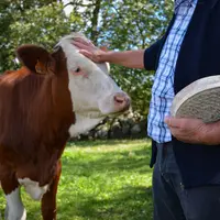 La reconnaissance du fromage a permis de le sauver de l'usurpation et des copies néfastes à sa notoriété.