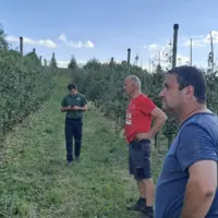 dégats dans les vergers