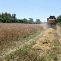machine agricole dans champs
