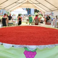 tarte à la framboise géante