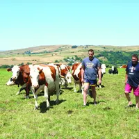 des vaches, la nature, le Cézallier, la famille Lemmet, deux hommes