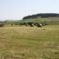 Paysage agricole