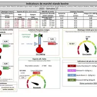 Les indicateurs de marché de viande bovine