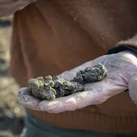 main avec de la terre analyse de sol carthographie des vignobles