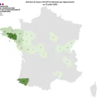 Comme la MHE, la FCO 3 et la FCO 8, transmises par des moucherons (Culicoïdes), continuent de circuler sur le territoire.