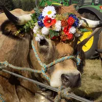 Ultime a été couronnée Miss de l'évènement.