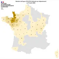 Comme attendu, on observe une recrudescence des foyers de FCO 3 et 8, y compris en Creuse. Pour la DNC, on compte 75 foyers dans 40 élevages au 18/08/