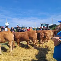 Un protocole sanitaire strict avait été mis en place par les organisateurs : "le but d'un concours est de motiver les éleveurs, pas de rentrer avec de