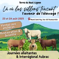 Afficge Journées allaitantes 2025