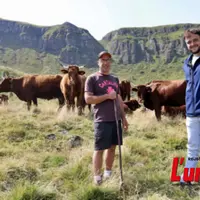 Deux éleveurs et leur troupeau salers, dans un paysage de montagne.