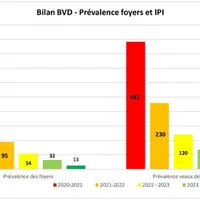 Graphique montrant l'évolution à la baisse des foyers et des veaux détectés en Creuse sur 5 ans.
