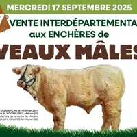 Affiche 47ème vente ALSONI