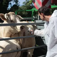 La vaccination va démarrer au plus vite dans le nouveau périmètre DNC.