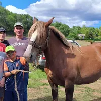 Les concours de chevaux, ça se passe en famille, comme pour le président Vincent Faure aidé ce jour par ses deux fils Alex et Clément et neveux Aymeri