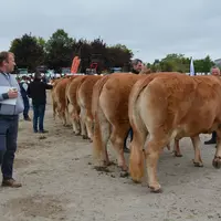 Les juges et le public ont pu apprécié la grande qualité des animaux présentés.