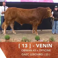 Venin, au Gaec Lebourg.