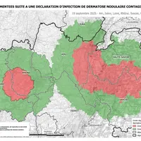 Nouvelle zone réglementée après la découverte d'un foyer de DNC dans le Rhône.