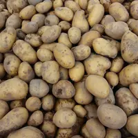 pommes de terre