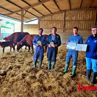 trois éleveurs et un technicien tiennent des trophées aux côtés de vaches et veaux salers