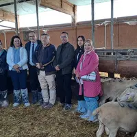 Une délégation marocaine a visité le Site génétique et expérimental de Paysat-Bas, en amont du Sommet de l'élevage.