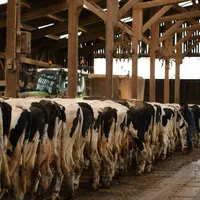 Pour les producteurs de lait, l'interprofession doit être une instance de dialogue  sur tous les sujets.