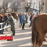 des chevaux et des personnes sur le champ de foire