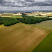 vue aérienne de terres agricoles