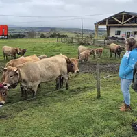 Des personnes regardent l'agricultrice donner à manger à ses vaches