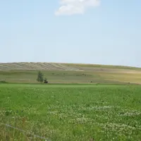 L'herbe, trésor du Massif central.